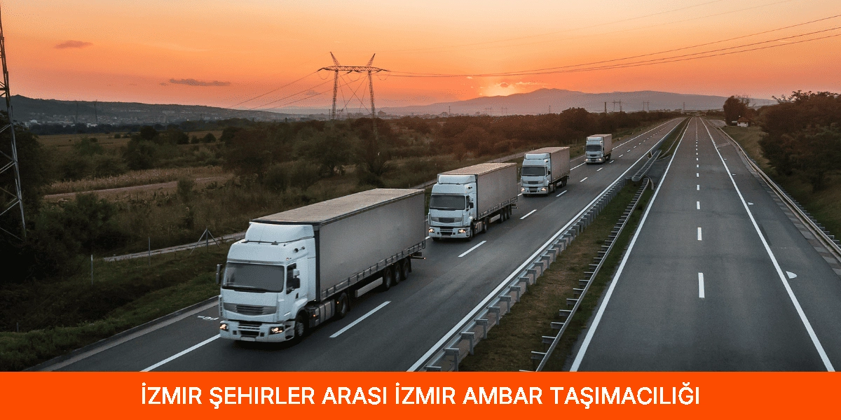 Şehirler Arası İzmir Ambar Taşımacılığı